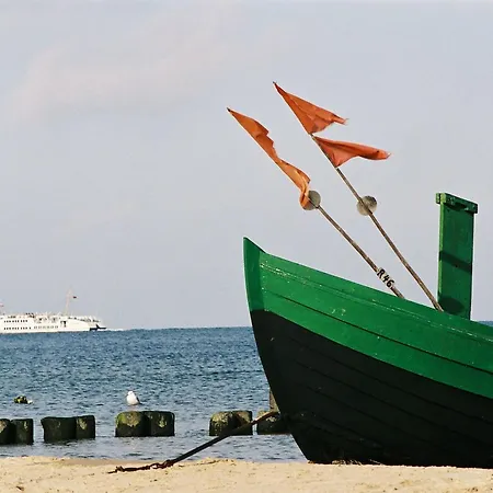 Boje06 3*